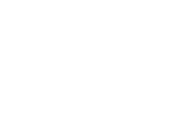Polani Travels