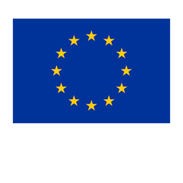 The Delegation of the European Union